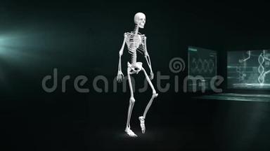 用科学家屏幕制作人体骨骼行走动画
